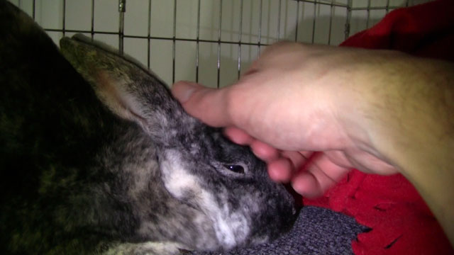 5242010 project image 7