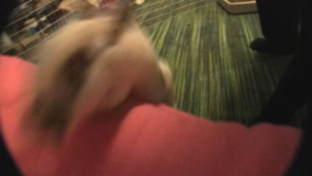 5242010 project image 13