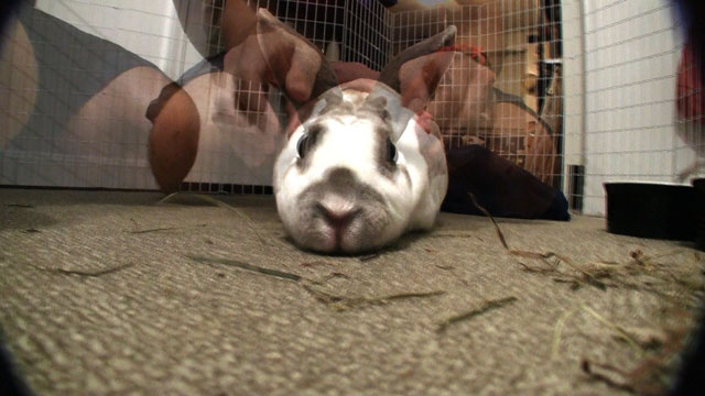 5242010 project image 36